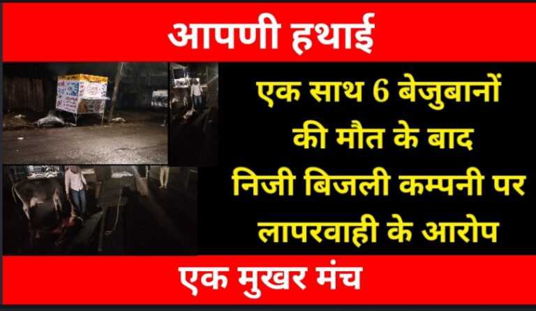 Bikaner : देर रात करंट की चपेट से 6 गायों की मौत, निजी बिजली कम्पनी BKESL पर लापरवाही का आरोप Bikaner : देर रात करंट की चपेट से 6 गायों की मौत, निजी बिजली कम्पनी BKESL पर लापरवाही का आरोप