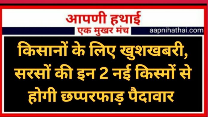 Rajasthan News